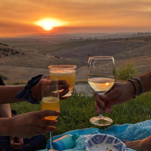a group of people holding glasses of wine at sunset at Sunset at Nirvana in San Miguel