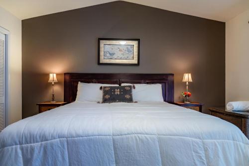 a bedroom with a large white bed with two lamps at Vista Vine Cottage in San Miguel
