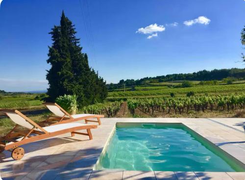 Villa Charme avec Piscine privée au coeur des Vignes