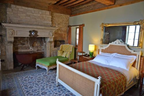 a bedroom with a large bed and a fireplace at Les Deux Chèvres in Gevrey-Chambertin