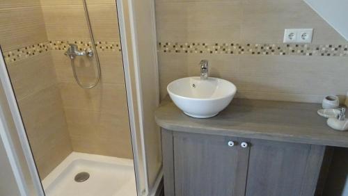 a bathroom with a sink and a shower at Sea House Dzelmes in Mazirbe