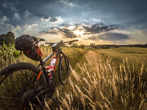 a bike parked in a field of tall grass at Timberline Retreat - King Bed, Fireplace & Pool! in Fort Collins