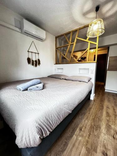 a bedroom with a large bed in a room at Studio le Cosy - Bourgoin Centre in Bourgoin