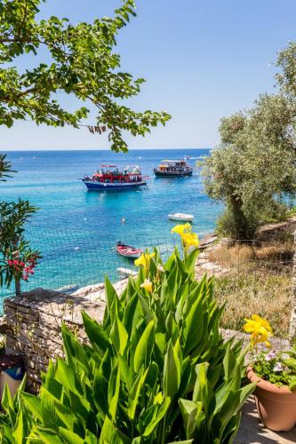 Φυσικό τοπίο κοντά σε αυτό το διαμέρισμα