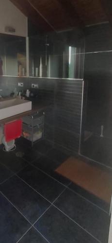 une salle de bain avec un lavabo et une douche en verre dans l'établissement Cosy appartement, à Sarrouilles