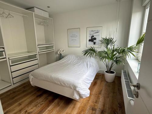 - une chambre avec un lit blanc et une plante en pot dans l'établissement Beautiful house in calais, à Calais