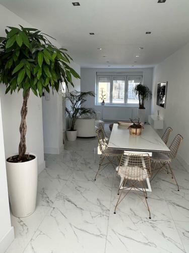 une salle à manger avec une table et une plante en pot dans l'établissement Beautiful house in calais, à Calais