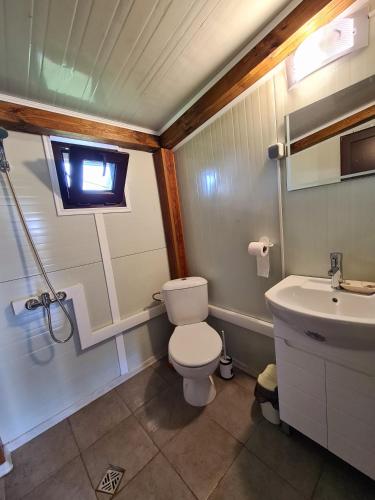 a small bathroom with a toilet and a sink at Vila Zornica in Kondolovo