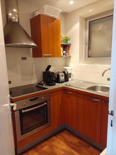 une cuisine avec un évier et une cuisinière four supérieur dans l'établissement Grand studio vue mer à Marina Baie des Anges, à Villeneuve-Loubet