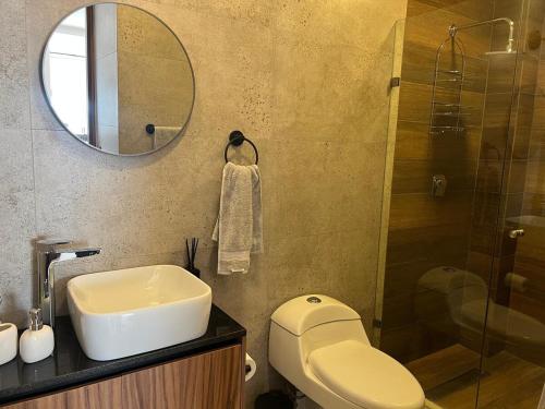 a bathroom with a toilet and a sink and a mirror at Departamento al Norte de Aguascalientes in Aguascalientes