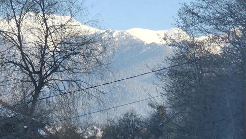 a snow covered mountain with trees and power lines at Casa Ciubărului Bran in Predeluţ