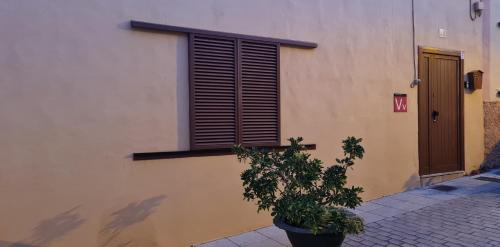 a building with a window and a plant in front of it at Casa Mamatita in Agüimes