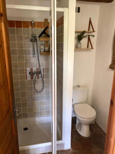 une salle de bain avec toilettes et douche dans l'établissement Villa Allegria, à Cotignac