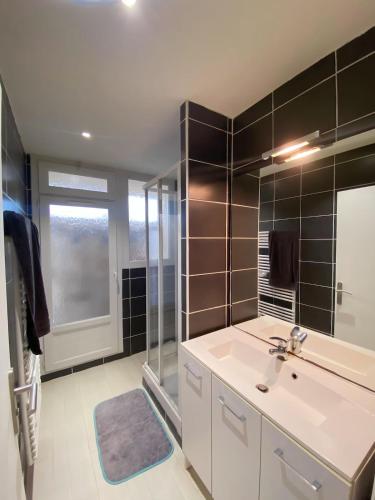 une salle de bain avec un lavabo et une douche en verre dans l'établissement Appartement proche centre-ville, à Brest