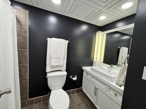 a bathroom with a toilet and a sink and a mirror at Downtown Studio with Full Kitchen and Bath in Indianapolis