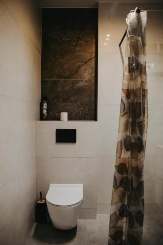 a bathroom with a toilet and a shower curtain at Apartamenty Wieżyca 17 in Wieżyca