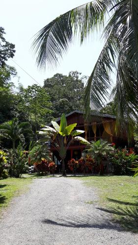 a house with a palm tree in front of it at Cabinas Nirvana in Cahuita