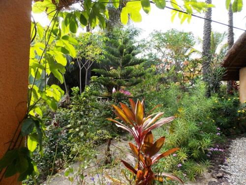 a garden with a pineapple tree in the background at LA Réserve Grande maison Cap Skirring avec piscine in Cap Skirring