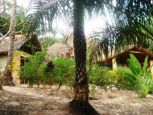 a palm tree in front of a house at LA Réserve Grande maison Cap Skirring avec piscine in Cap Skirring