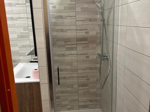a shower with a glass door next to a sink at Appartement 2 Chambres, Garage, Pra-Loup 1500, WIFI - FR-1-165A-50 in Uvernet-Fours