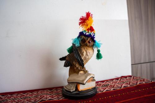 a statue of a bird wearing a colorful hat at Casa Antade Cusco in Cusco