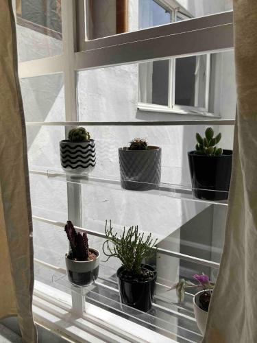 a group of potted plants sitting on a window sill at Alojamiento Ideal Junto al Aeropuerto CDMX in Mexico City