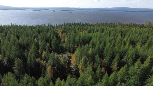 an aerial view of a forest of trees next to the water at Forest and Lake Chalet in Pallas-Yllastunturi, Levi in Kittilä