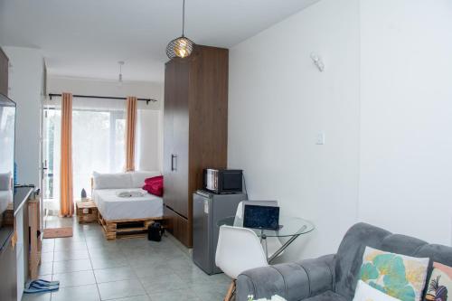 Serene Superior Studio Apartment in Nairobiにあるテレビまたはエンターテインメントセンター