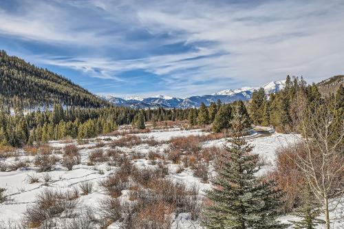 ein schneebedecktes Feld mit Bäumen und Bergen im Hintergrund in der Unterkunft 5959 Hidden River Lodge condo in Keystone