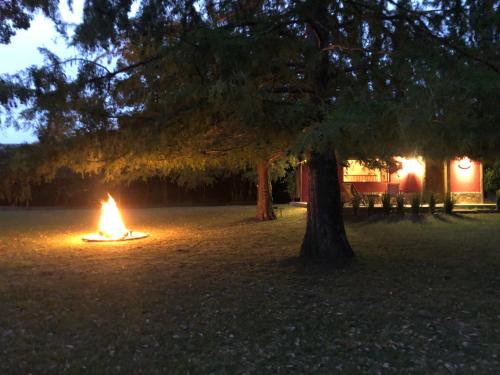 a fire pit in a field with a tree at CABAÑA LA TOSCANA in Carmelo
