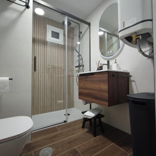 a bathroom with a shower and a sink and a toilet at Apartamento Manzana in Seville