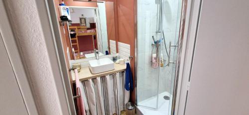 une salle de bain avec un lavabo et une douche dans l'établissement Studio 4 pers, cosy ,3mn mer, parking, à La Grande Motte