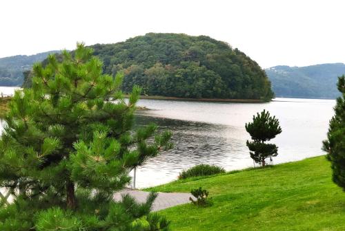 a view of a lake with trees in the foreground at Wzgórze Słońca in Gródek Nad Dunajcem