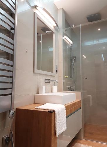 a bathroom with a sink and a shower at Wzgórze Słońca in Gródek Nad Dunajcem