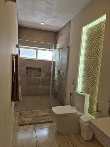 a bathroom with a shower and a toilet and a sink at Casa Victoria Cozumel in Cozumel