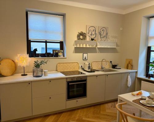 a kitchen with white cabinets and a sink and windows at Traumhaft wohnen in Saarbrücken am historischen Markt in Saarbrücken