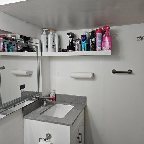 a bathroom with a sink and a mirror at Queen bedroom in Toronto