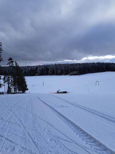 a field covered in snow with tracks in it at Schwarzwaldperle in Zimmern ob Rottweil
