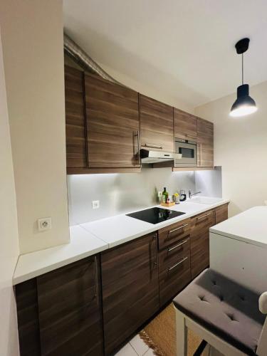 une cuisine avec des armoires en bois et un évier dans l'établissement Appartement Champ de Mars Grenelle Paris, à Paris