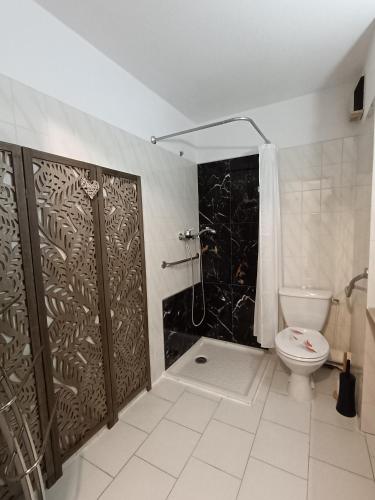 La salle de bains est pourvue de toilettes et d'une douche avec une porte. dans l'établissement Balaruc studio avec piscine parking et climatisation, à Balaruc-les-Bains