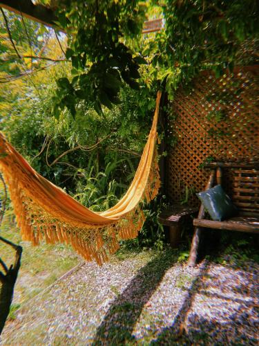 a hammock in a garden next to a bench at Larica Hostel in Barra de Valizas