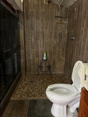 a bathroom with a toilet and a shower at Casa Massaryk with Incredible Mountain Views in Santa Ana