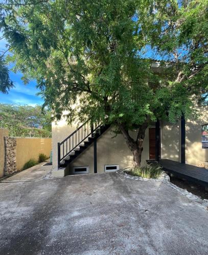 a tree in front of a building with a staircase at Cocobana 20 - 2 bedroom apartment in Willemstad