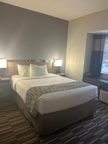 a large bed in a hotel room with two lamps at Microtel Inn & Suites by Wyndham in Lynchburg