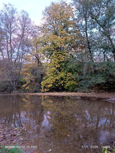 a body of water with trees in the background at Apartman Quince Gradac in Valjevo