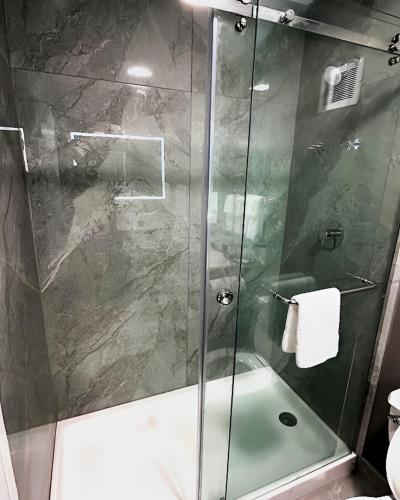 a shower with a glass door in a bathroom at Silver Beach Hotel in Saint Joseph