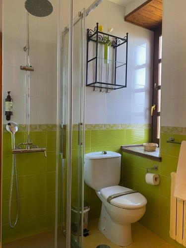 a bathroom with a toilet and a glass shower at El Balcón De Muniellos in Oballo