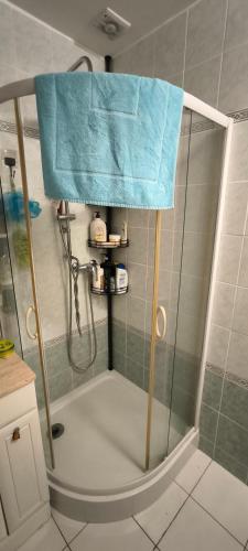 - une douche avec une serviette bleue dans l'établissement Bienvenue en Gâtine, à Le Retail
