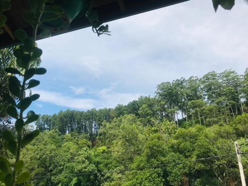 a view of the trees from a window at Hills Bungalow Bandarawela in Bandarawela