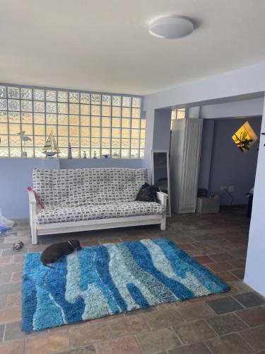 a dog laying on a blue rug in a living room at Driftwater in Velddrif